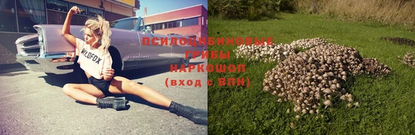 не бодяженный Пересвет