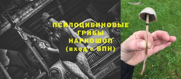 экстази Переславль-Залесский