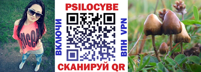 Псилоцибиновые грибы Magic Shrooms  Купить где  Черемхово 